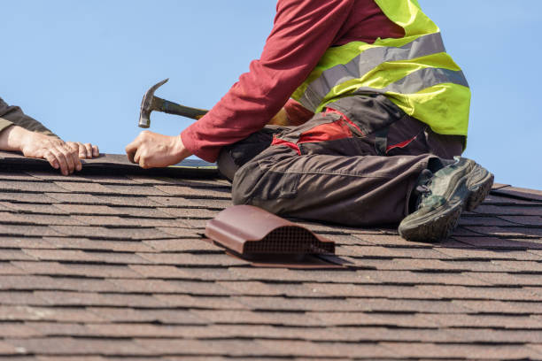 Best Roof Gutter Cleaning  in Forestville, MD